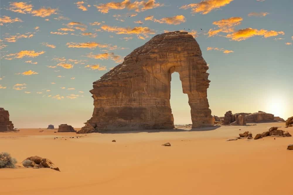 Alula Trip | Trip to Alula Alula Trip | Trip to Alula