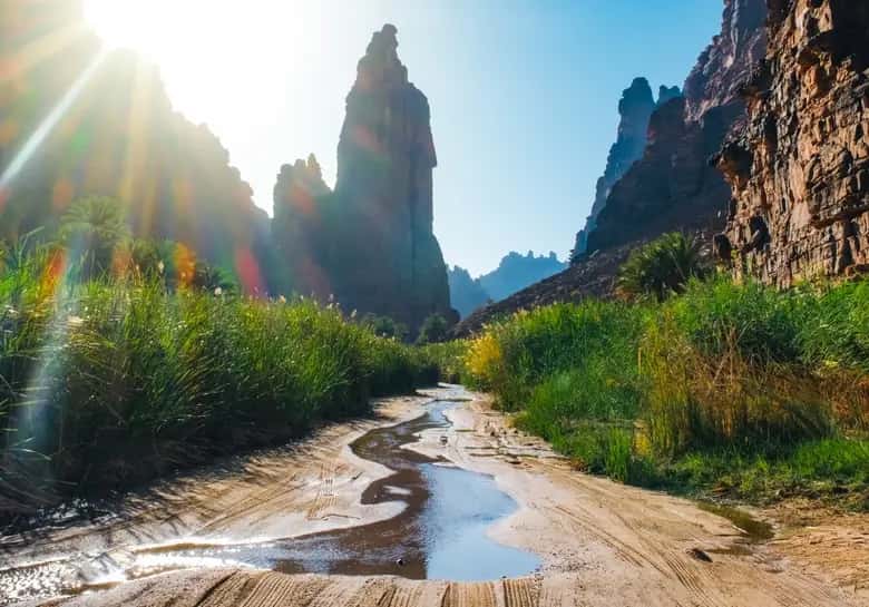 Tabuk And Alula Tour Package Tabuk And Alula Tour Package